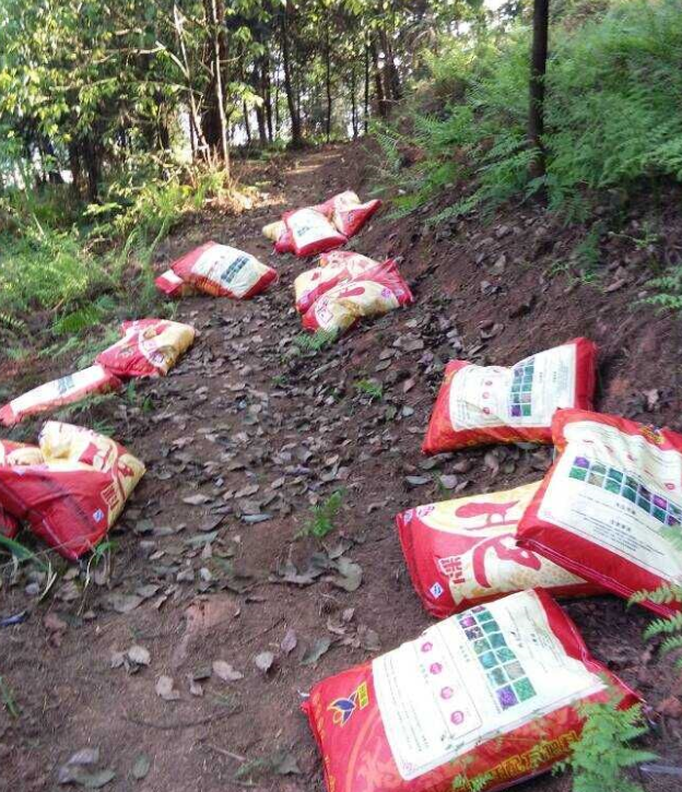 石城山工区施底肥，，，，苗木修剪及栽植.png